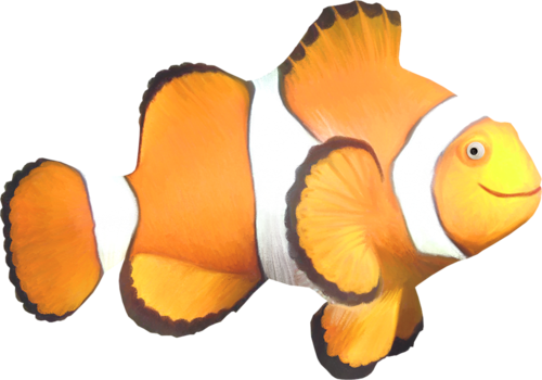 akvariumi_halak_1004.png