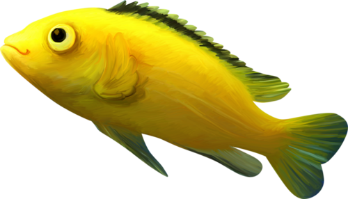 akvariumi_halak_1006.png