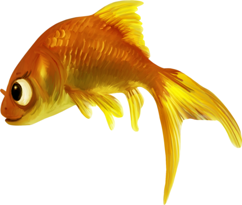 akvariumi_halak_1035.png