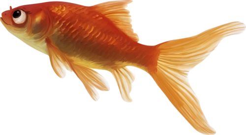 akvariumi_halak_1036.png