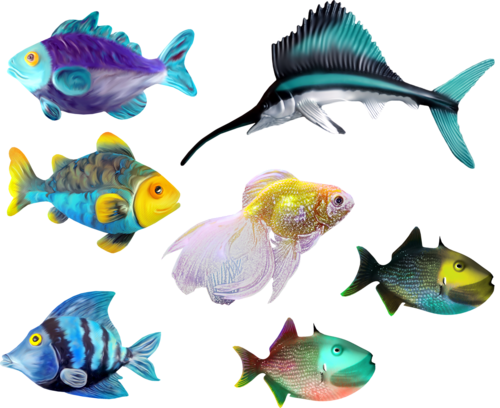 akvariumi_halak_1048.png