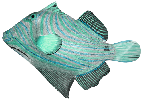 akvariumi_halak_1056.png