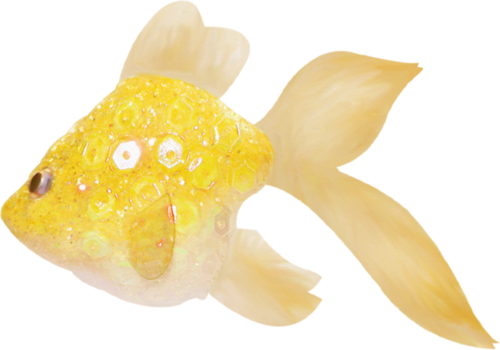 akvariumi_halak_1067.png