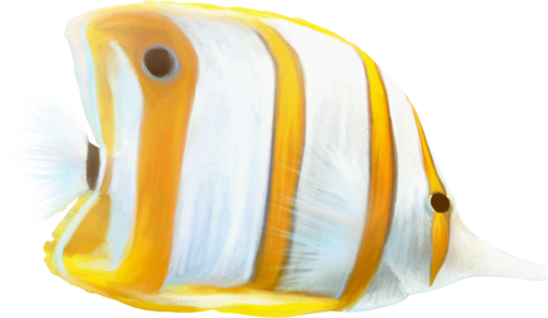akvariumi_halak_1068.png