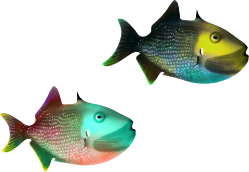 akvariumi_halak_1071.png