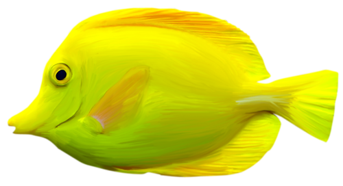 akvariumi_halak_1073.png
