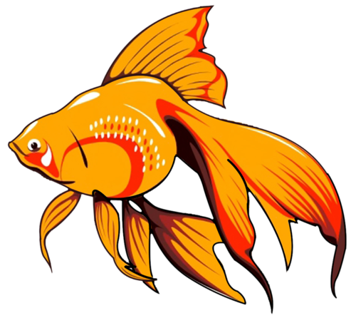 akvariumi_halak_1078.png