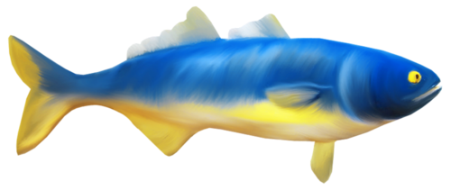 akvariumi_halak_1085.png