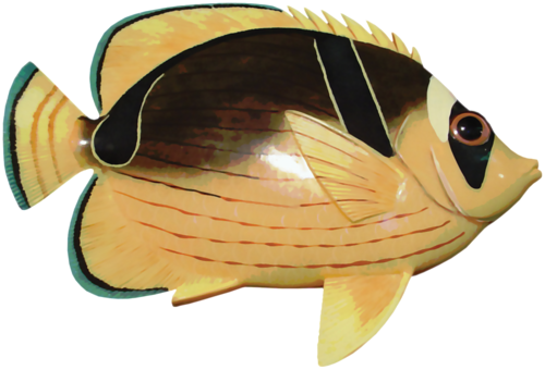 akvariumi_halak_1092.png