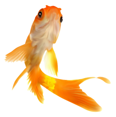 akvariumi_halak_1107.png