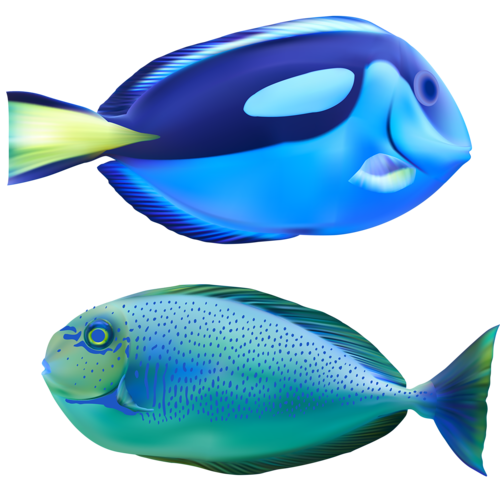 akvariumi_halak_1124.png