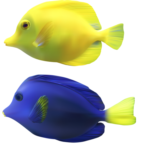 akvariumi_halak_1126.png