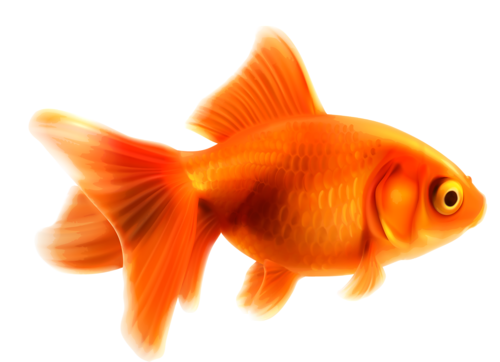 akvariumi_halak_1128.png