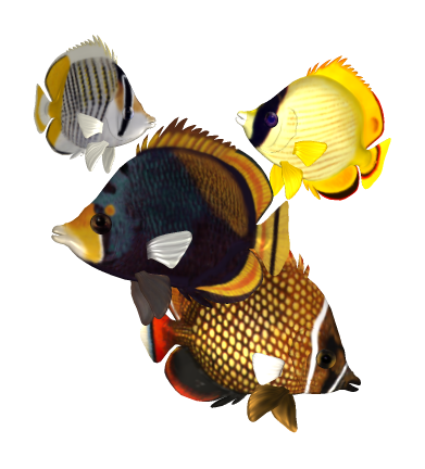 akvariumi_halak_1162.png