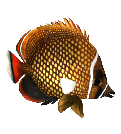 akvariumi_halak_1163.png