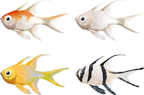 akvariumi_halak_1168.png