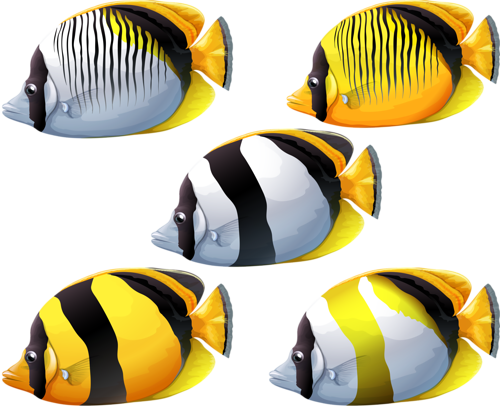 akvariumi_halak_1170.png