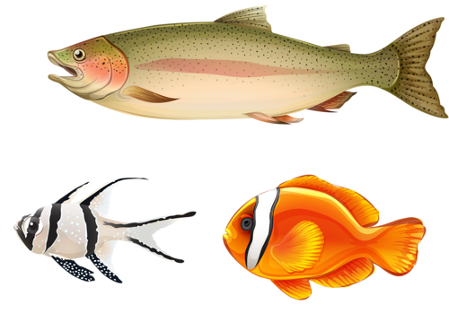 akvariumi_halak_1172.png