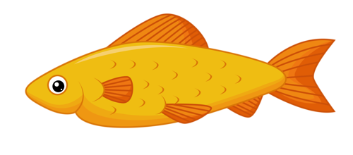 akvariumi_halak_1178.png