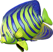 akvariumi_halak_149.png