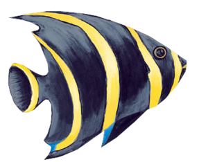 akvariumi_halak_16.png