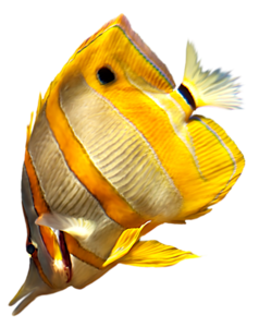 akvariumi_halak_21.png