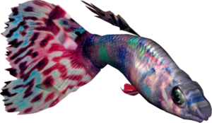 akvariumi_halak_221.png