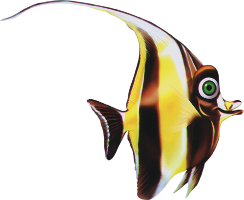 akvariumi_halak_278.png