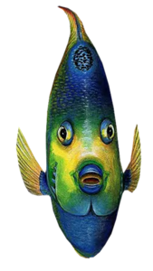 akvariumi_halak_282.png