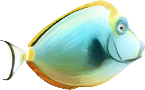 akvariumi_halak_335.png