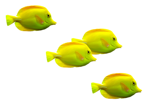 akvariumi_halak_354.png