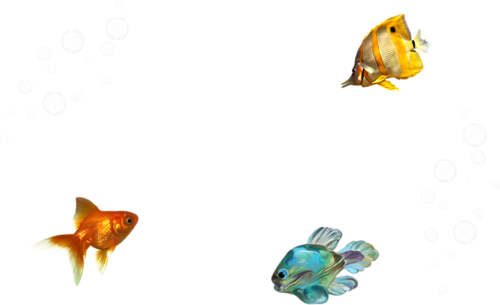 akvariumi_halak_371.png