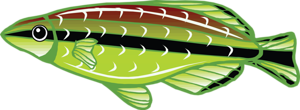 akvariumi_halak_49.png