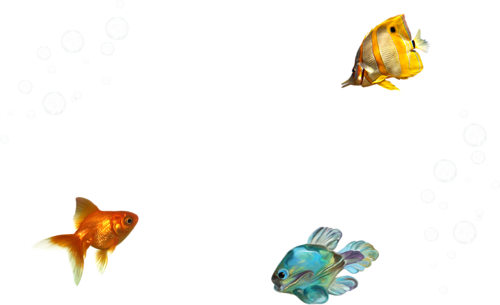 akvariumi_halak_560.png