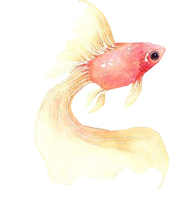 akvariumi_halak_568.png