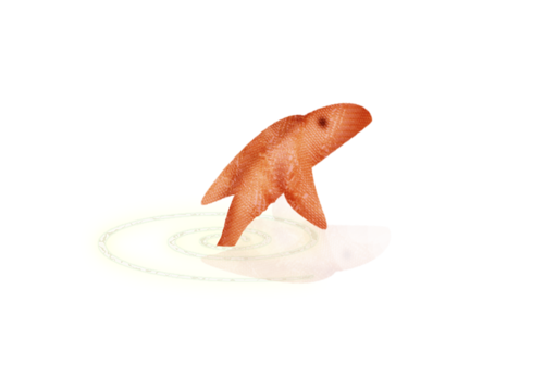 akvariumi_halak_569.png