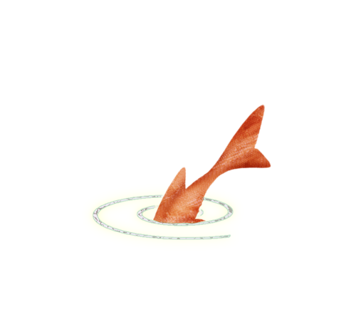 akvariumi_halak_571.png