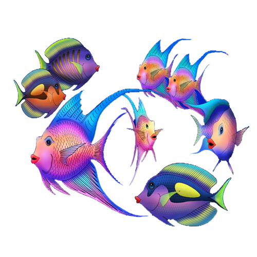 akvariumi_halak_590.png
