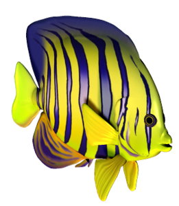 akvariumi_halak_6.png