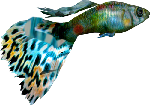 akvariumi_halak_602.png