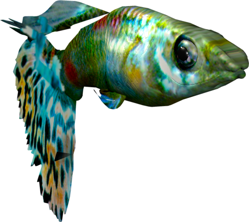 akvariumi_halak_603.png