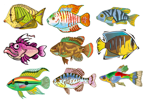 akvariumi_halak_654.png