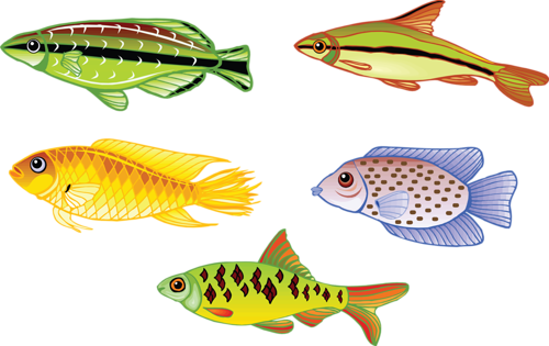 akvariumi_halak_657.png