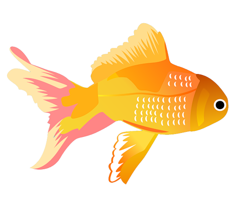 akvariumi_halak_865.png