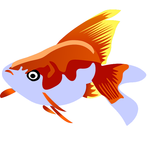 akvariumi_halak_867.png