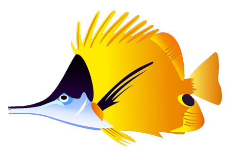 akvariumi_halak_868.png