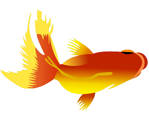 akvariumi_halak_869.png