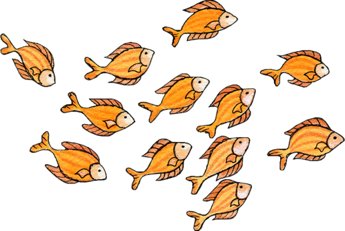 akvariumi_halak_878.png