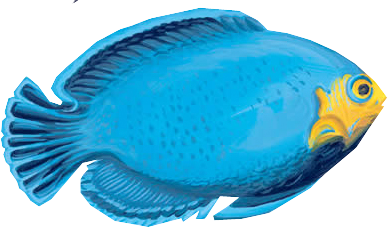 akvariumi_halak_882.png