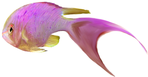 akvariumi_halak_909.png